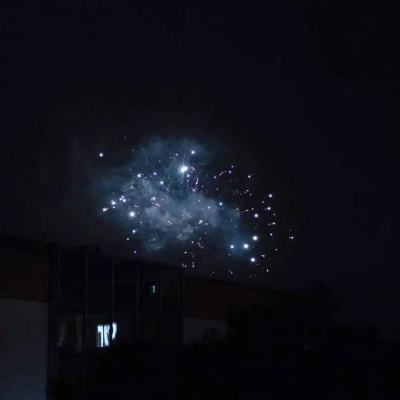 谜恋猫官方