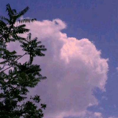 水果搅拌器官方版下载