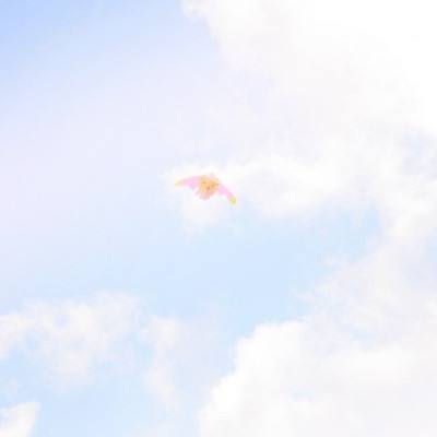炽烈之剑游戏